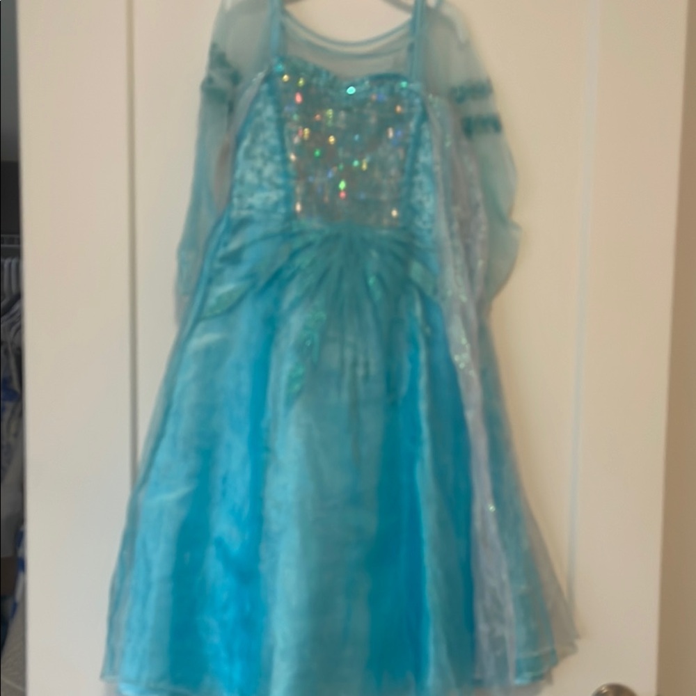 Frozen Princess Costume